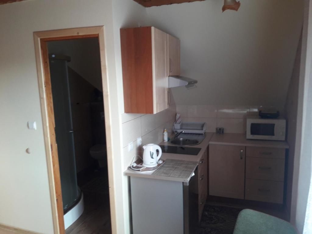 Проживание в семье Apartamenty i pokoje Borysek Бялка-Татшаньска
